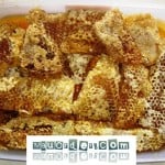madu asli bongkahan