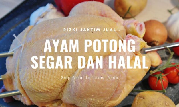 Ayam Potong Jakarta Timur