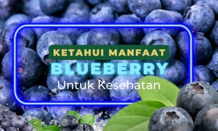 Ketahui 10 Manfaat Blueberry untuk Kesehatan!