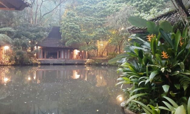 Imah Seniman: Menikmati Keindahan Seni di Lembang, Bandung